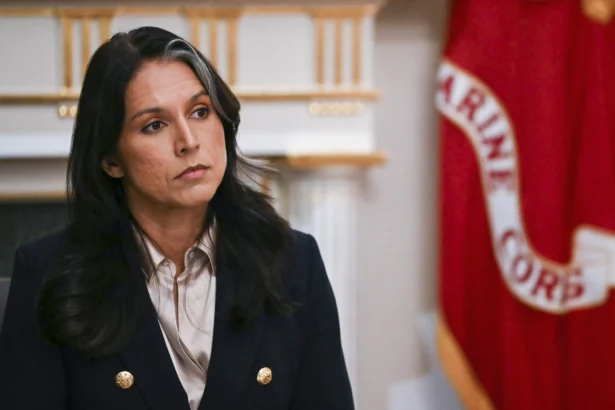 Director of National Intelligence Tulsi Gabbard in Washington on Dec. 2, 2025. (Andrew Caballero-Reynolds/AFP via Getty Images)