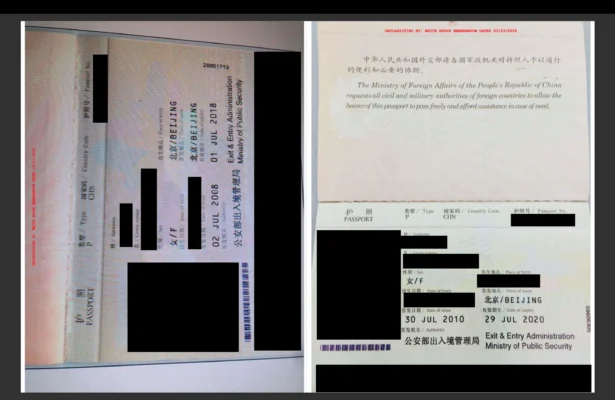 Newly declassified documents released by the White House Government Transparency Task Force on Aug. 17 include the passports of unnamed Chinese nationals. (Courtesy of the White House)
