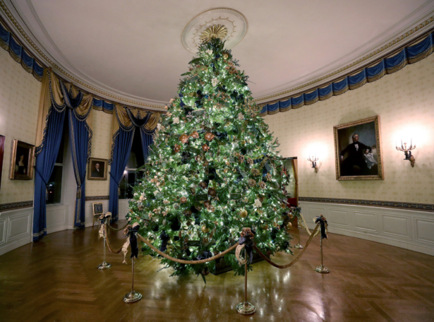 white house christmas tree 2019